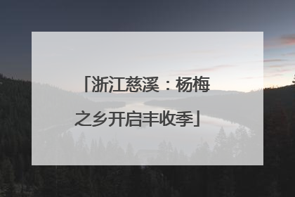 浙江慈溪：杨梅之乡开启丰收季